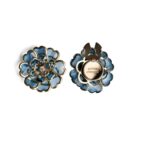 Laguz Runa Button