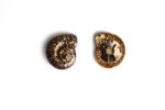 Uruz Runa Button - Image 3